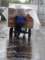 dsc02371_small.jpg