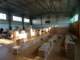 dsc02400_small.jpg