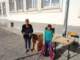 dsc02441_small.jpg