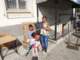 dsc02481_small.jpg