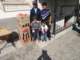 dsc02506_small.jpg