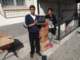 dsc02507_small.jpg