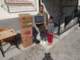 dsc02527_small.jpg