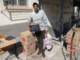dsc02552_small.jpg