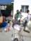 dsc02563_small.jpg